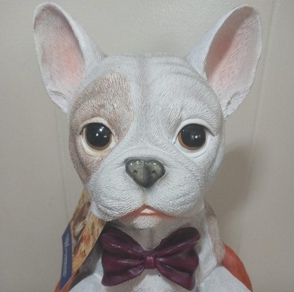 Humane Society US French Bulldog Trick or Treat Bag Halloween Fall Decoration - Picture 2 of 12